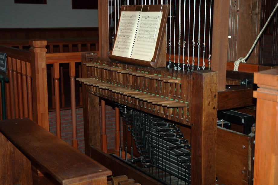 �J�������V���t�H�j�J