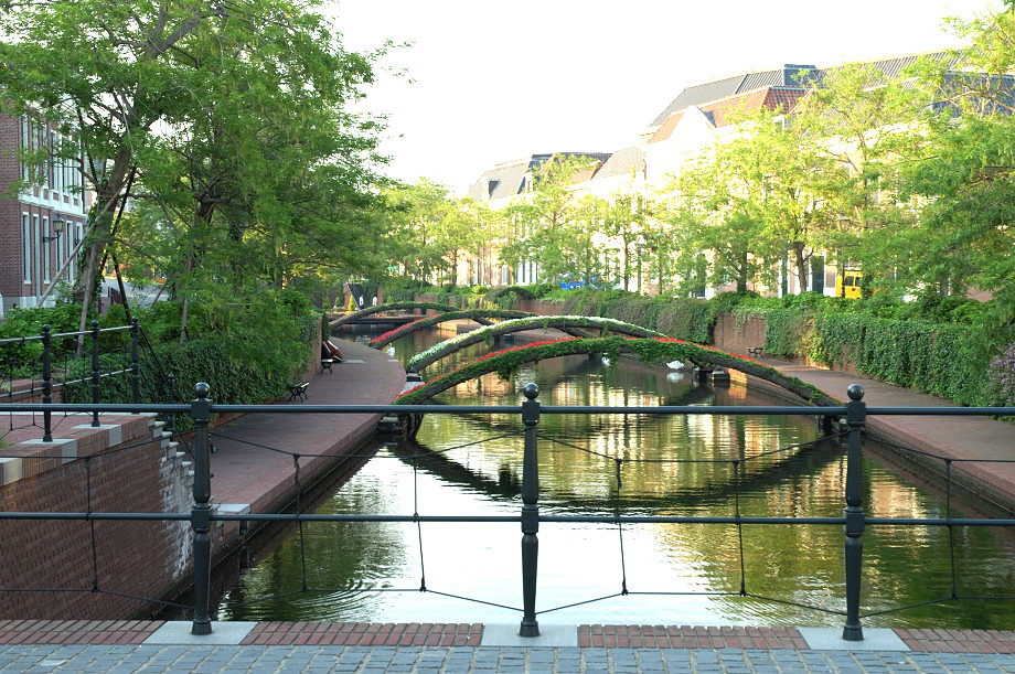 �[���̉^��