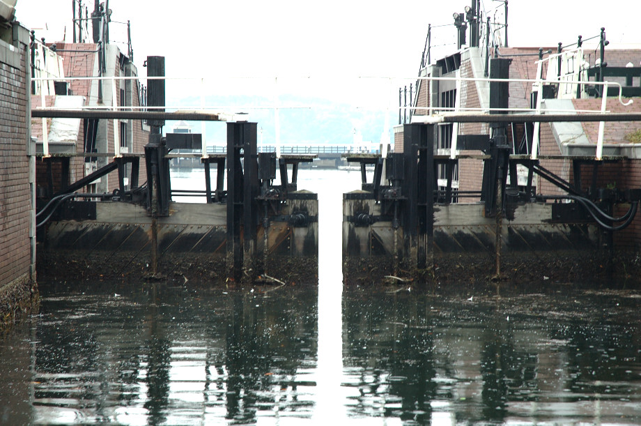 �J�i���N���[�Y (������)